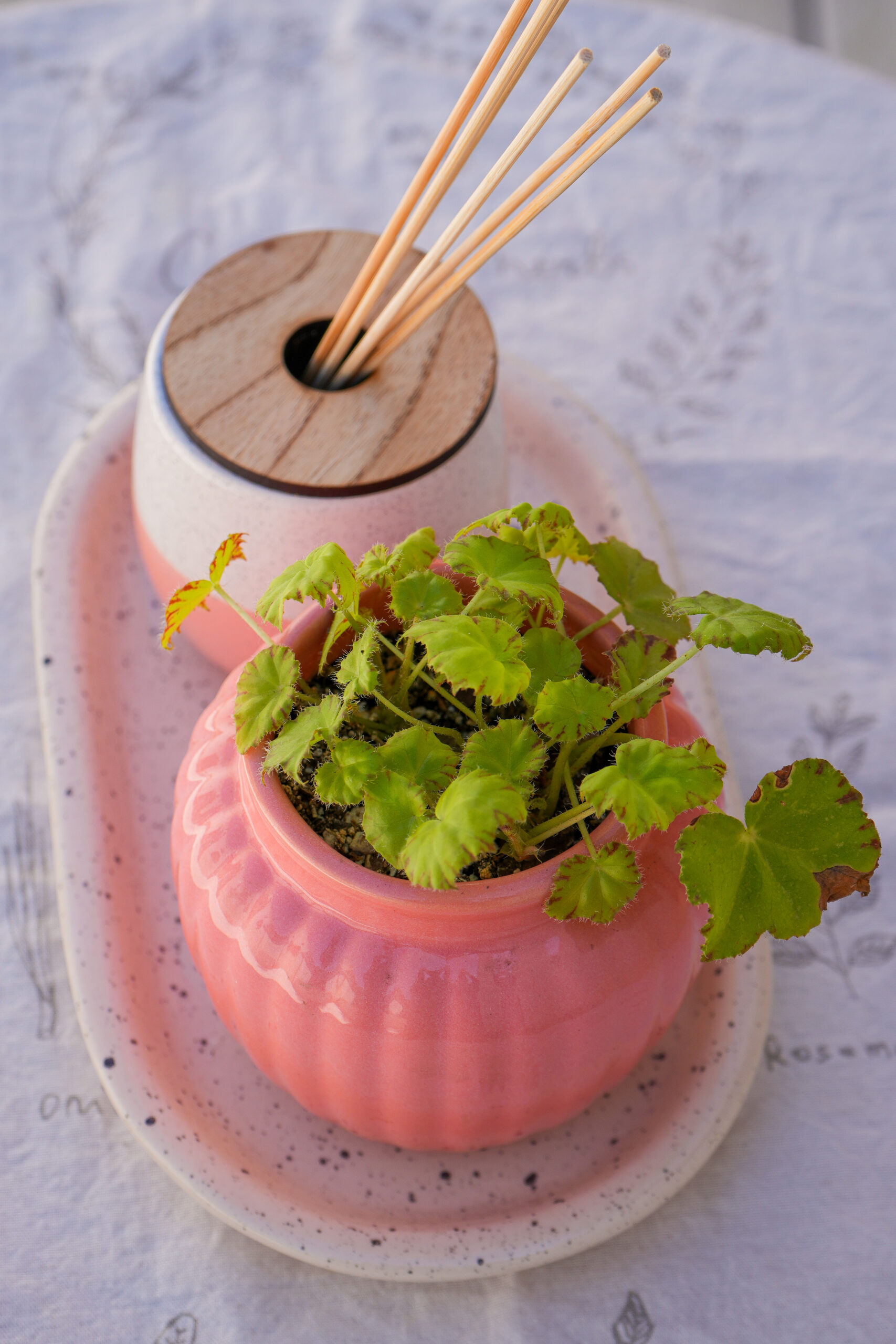 DSC07737 Combo rosa 2