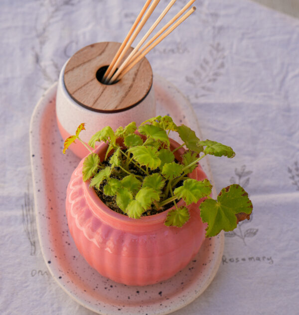 DSC07738 Combo rosa 2