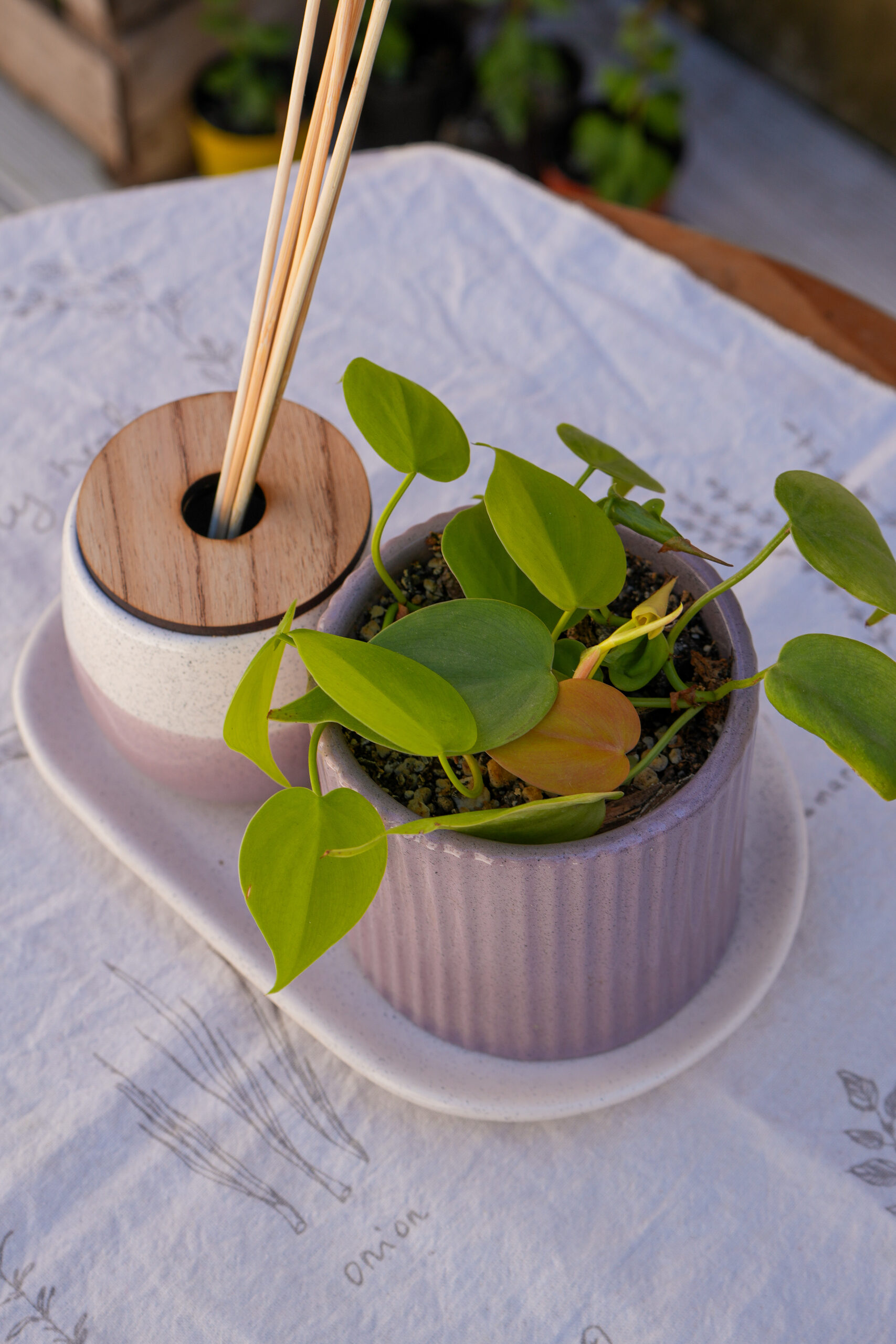 DSC07742 Combo violeta 2