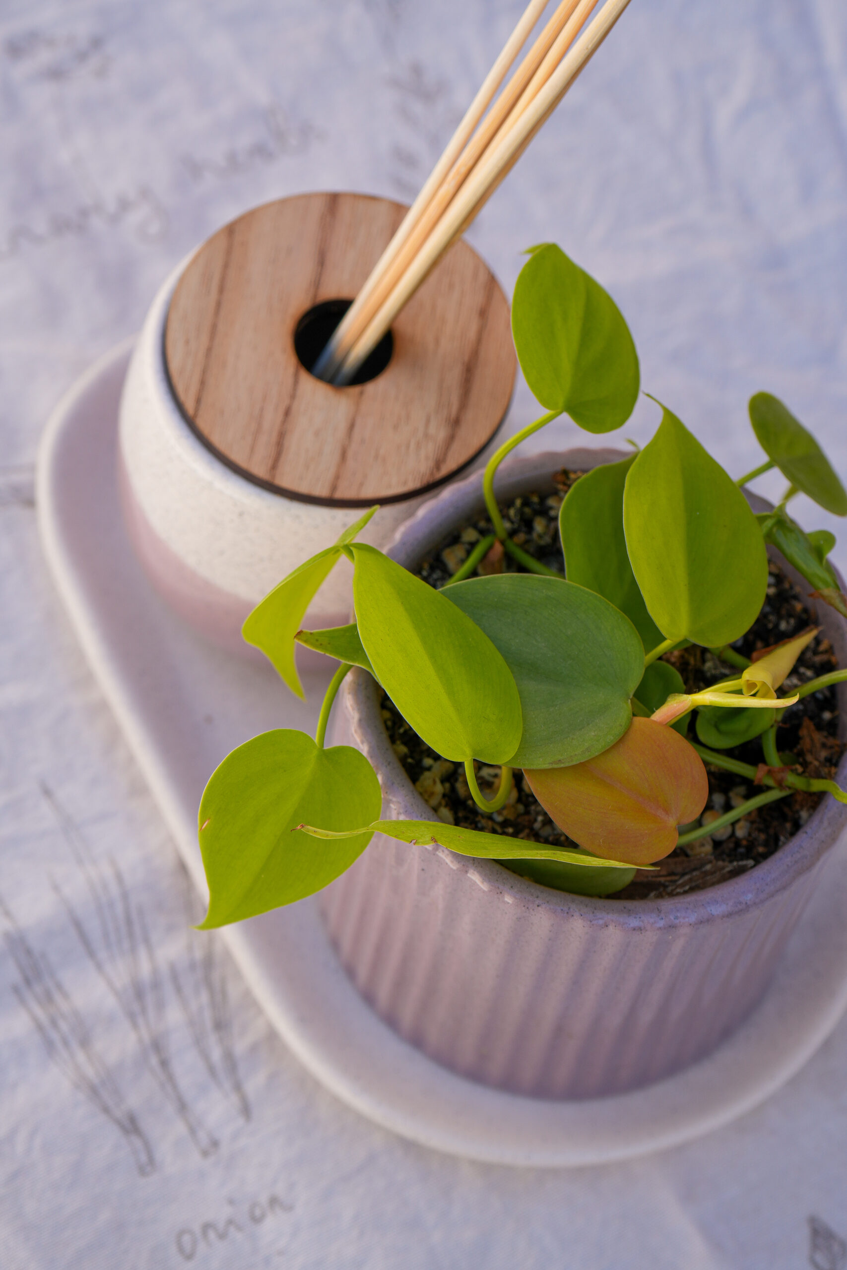 DSC07745 Combo violeta 2