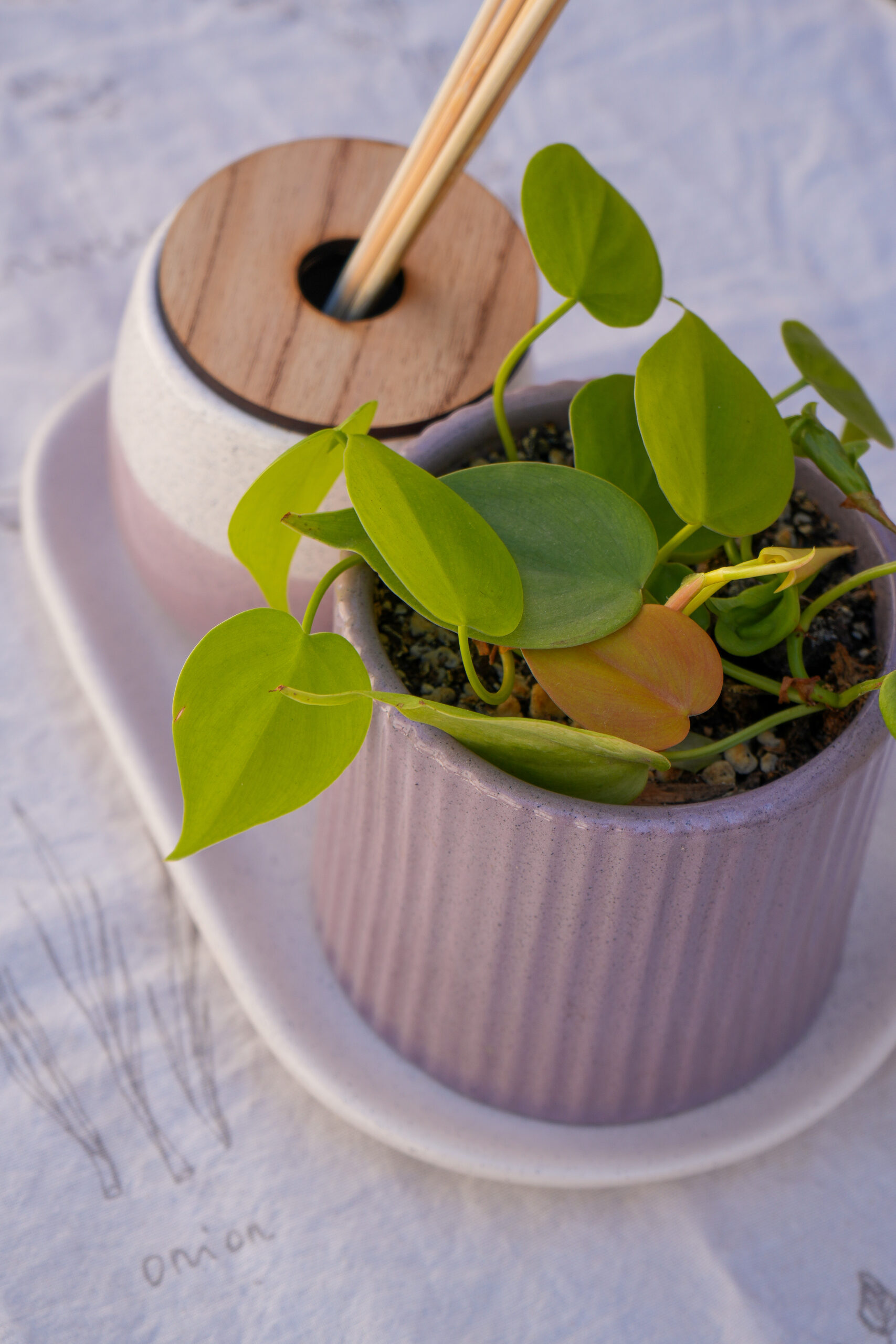 DSC07746 Combo violeta 2