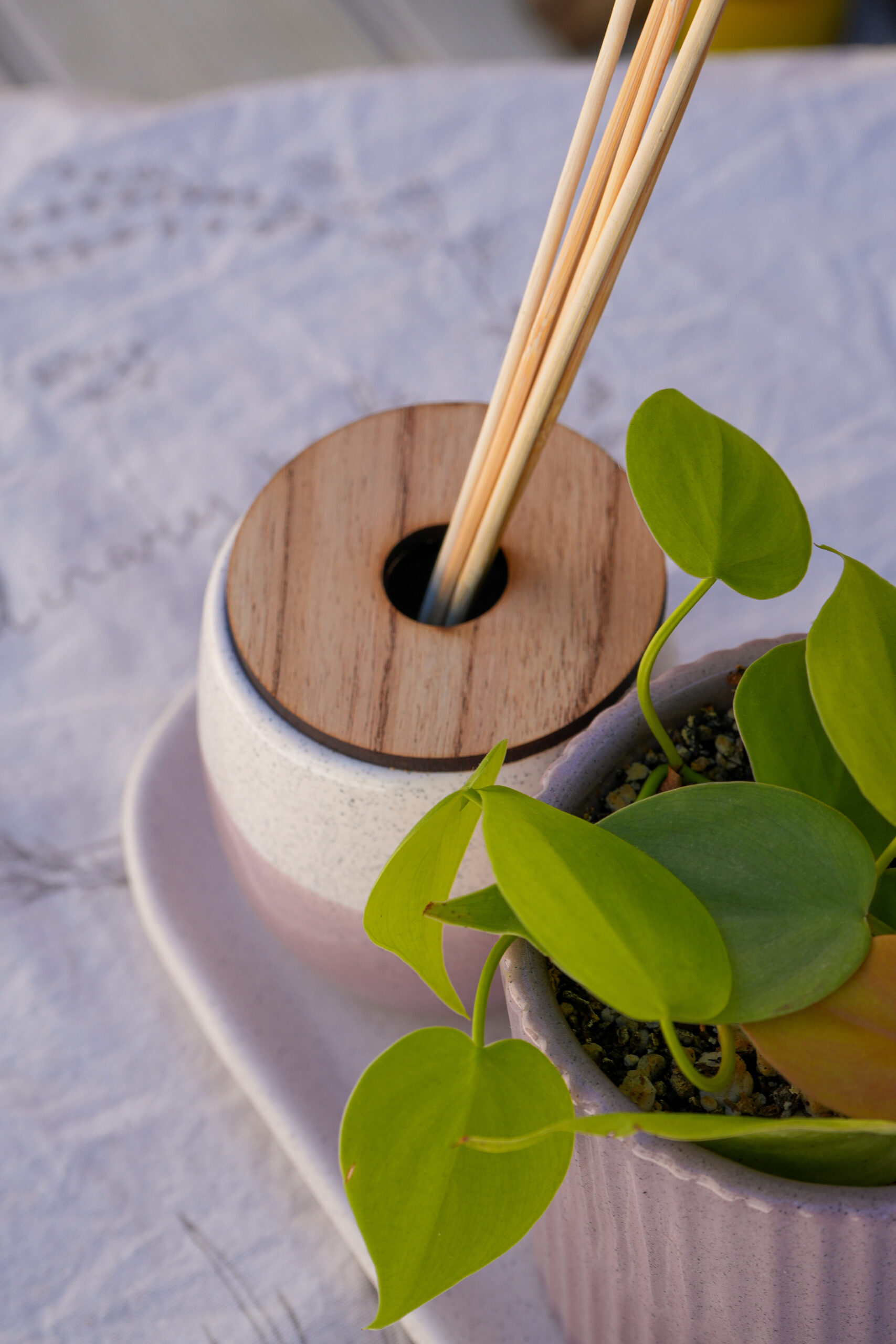 DSC07749 Combo violeta 2