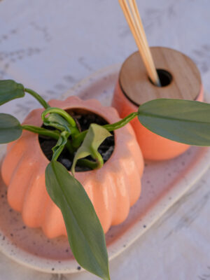 DSC07755 Combo salmón 2