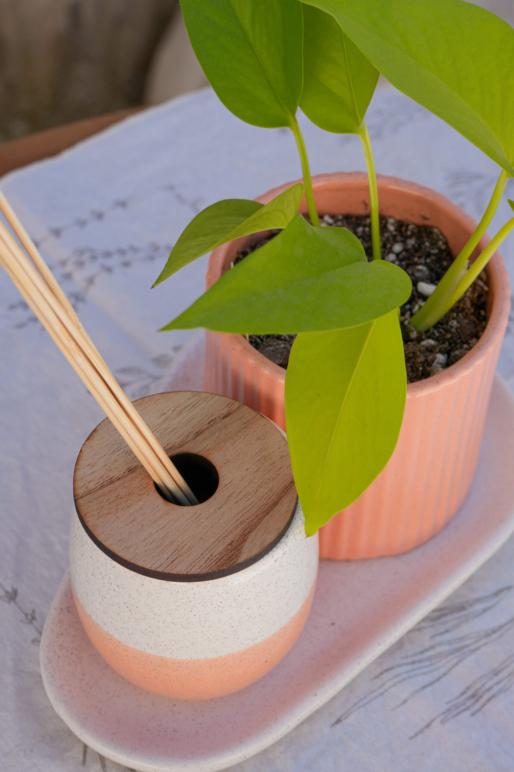 DSC07768 Combo salmón 3