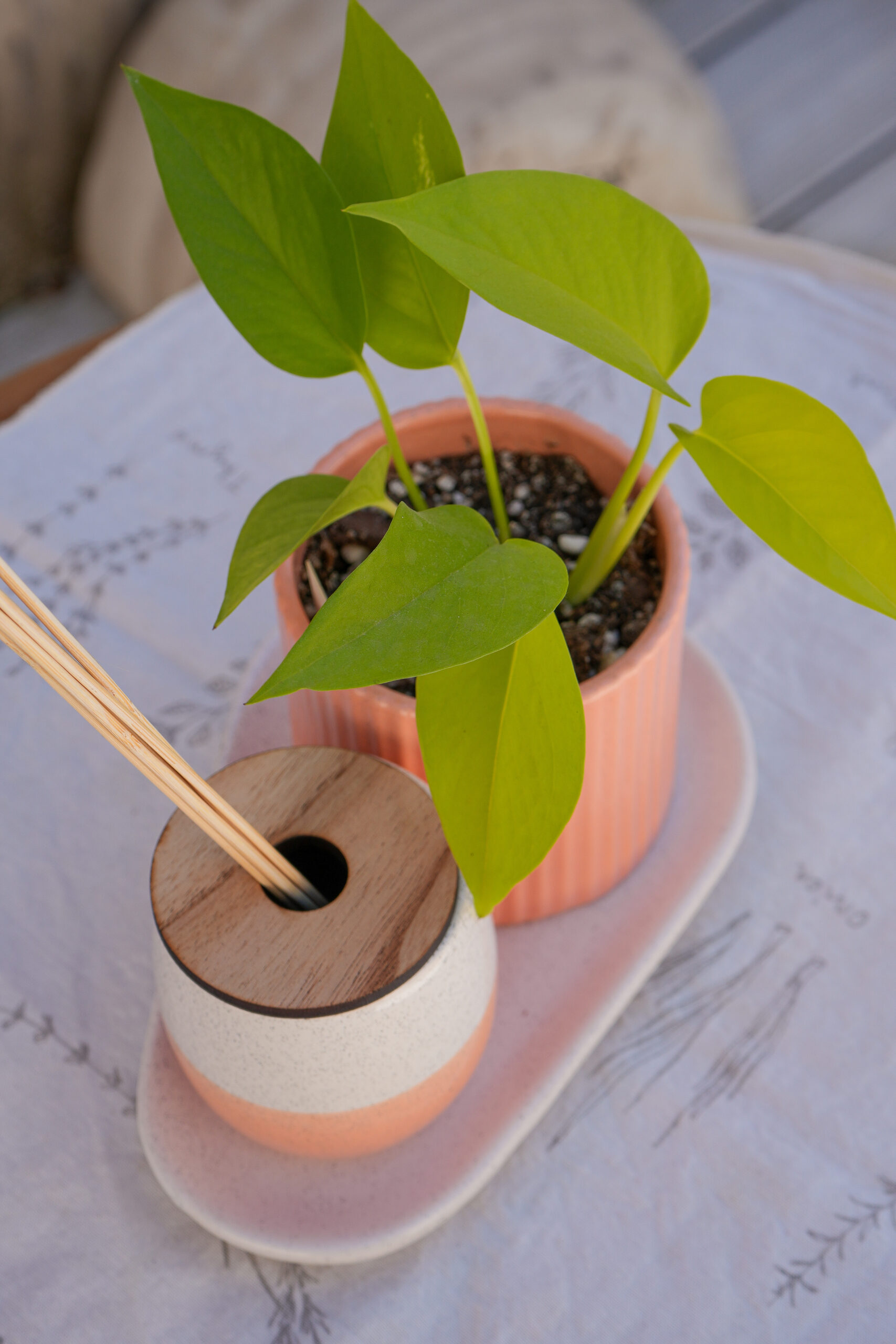 DSC07773 Combo salmón 3