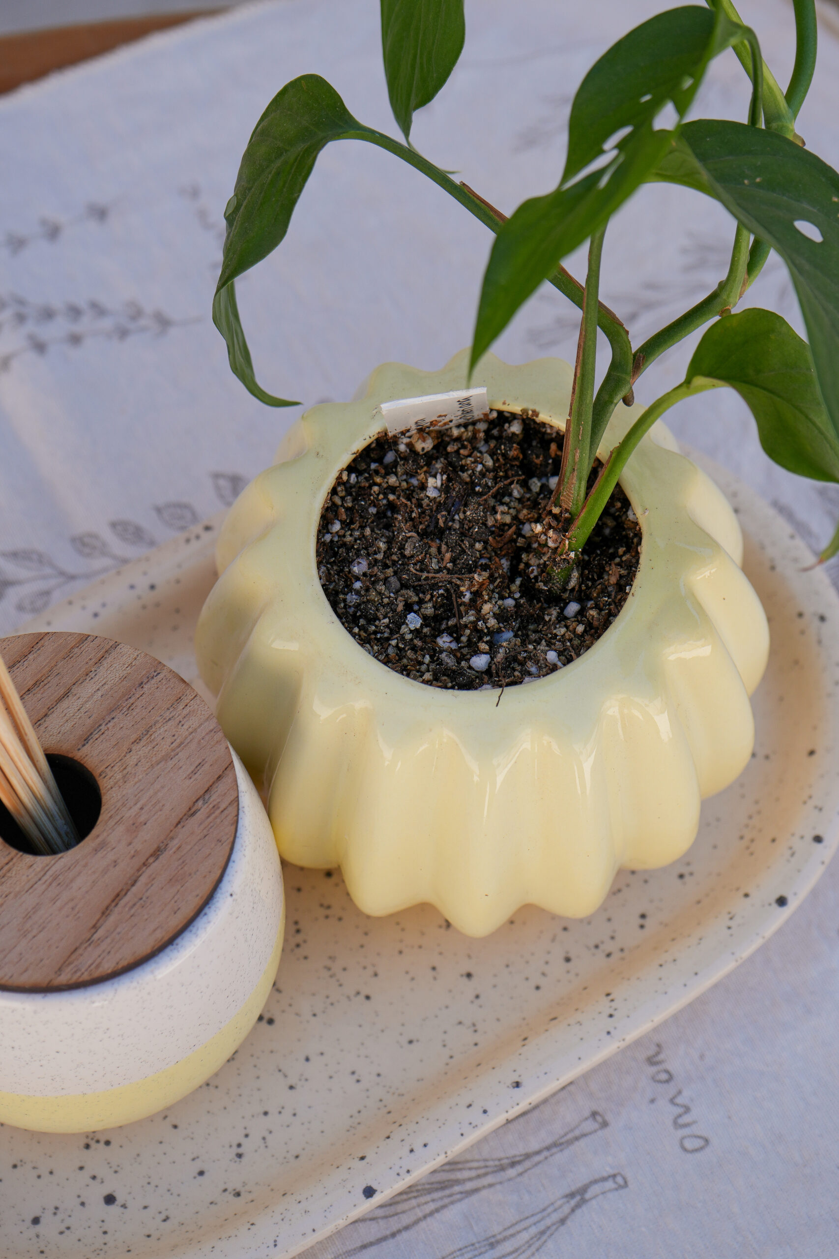 DSC07774 Combo amarillo 2