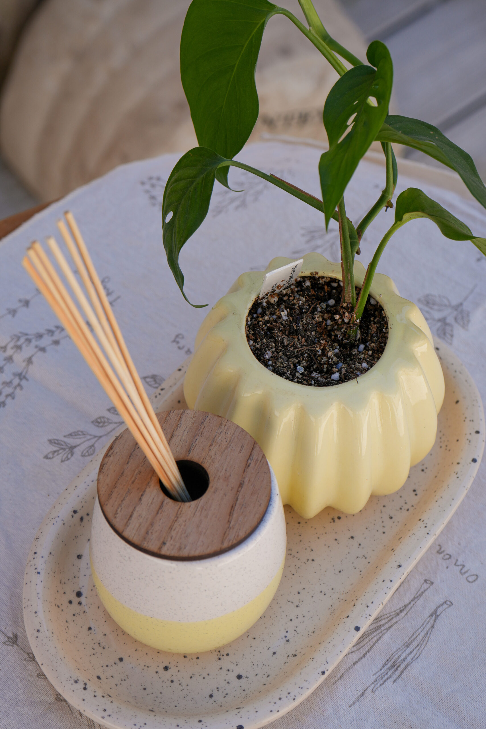 DSC07775 Combo amarillo 2