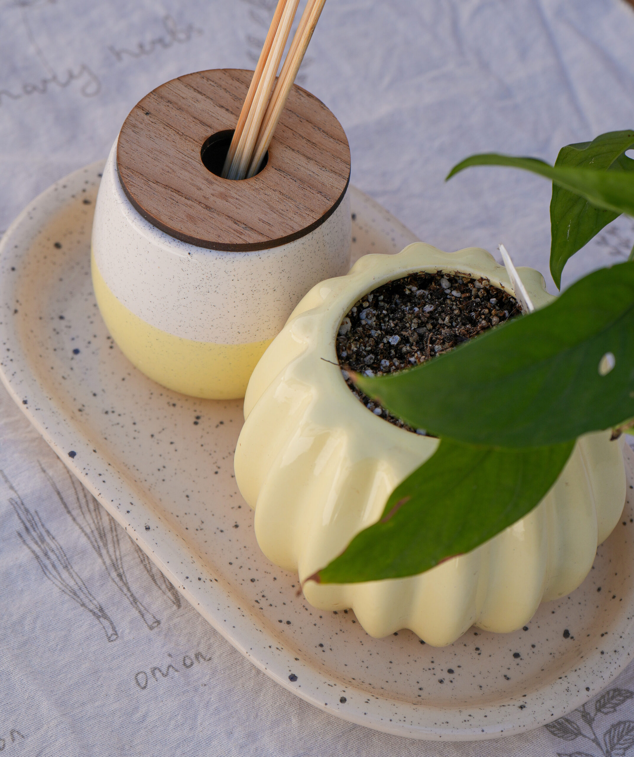 DSC07777 Combo amarillo 2