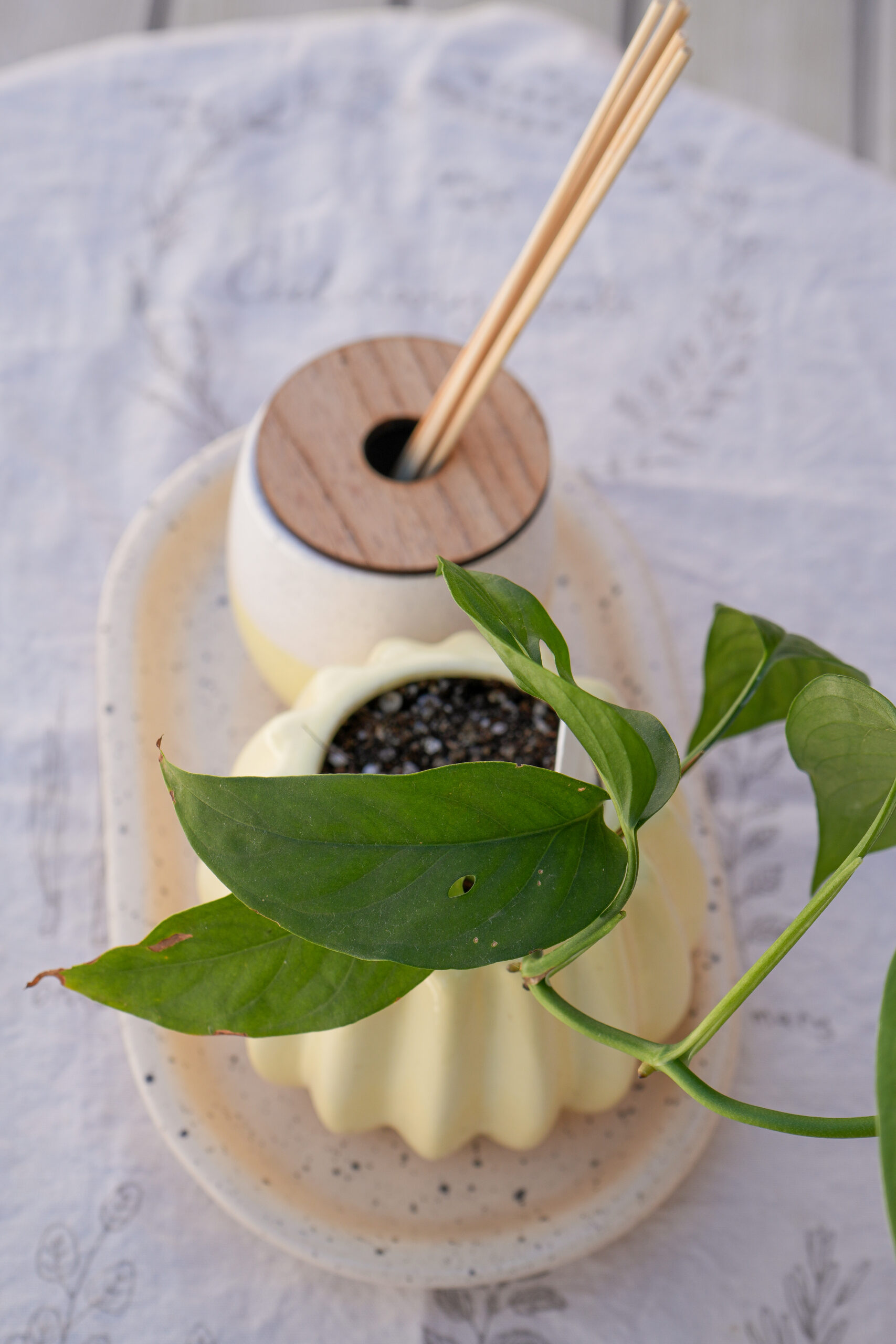 DSC07781 Combo amarillo 2