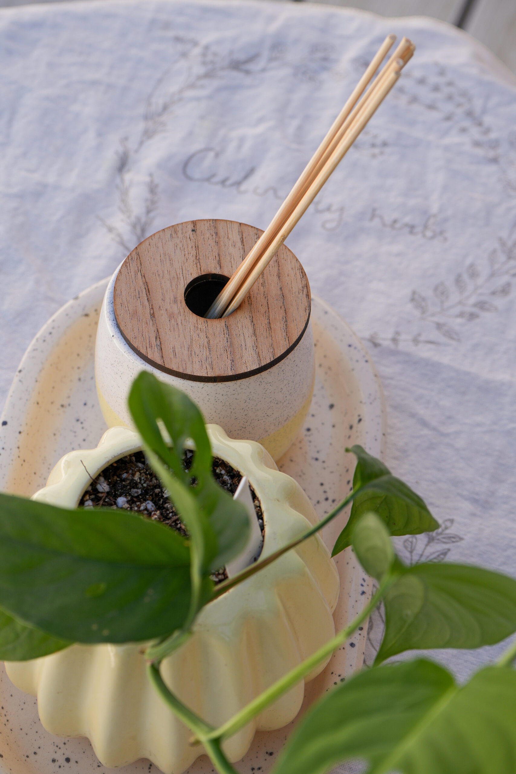 DSC07785 Combo amarillo 2