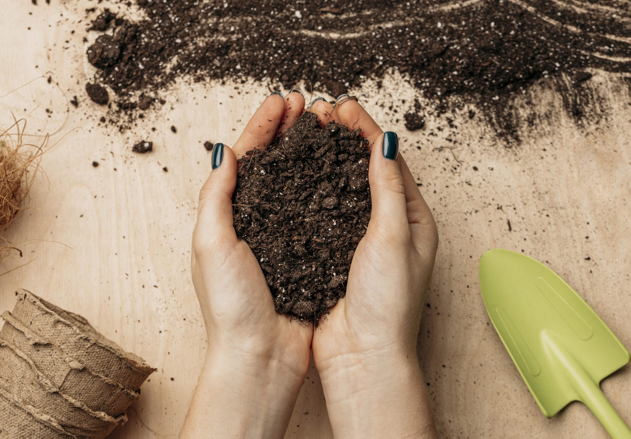 Imagen de una mujer regando las plantas de Azalea